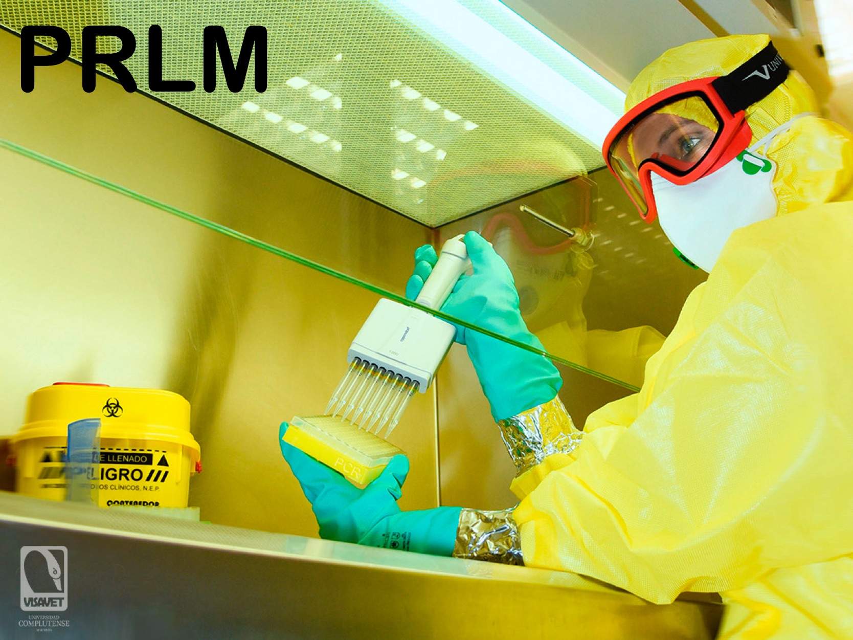 PRLM