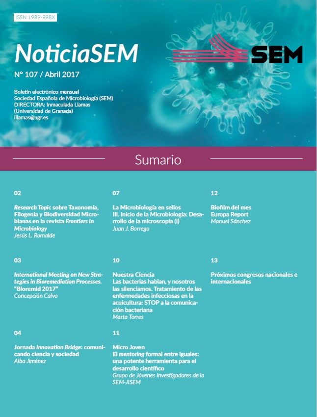 107-NewsSEM-Cover
