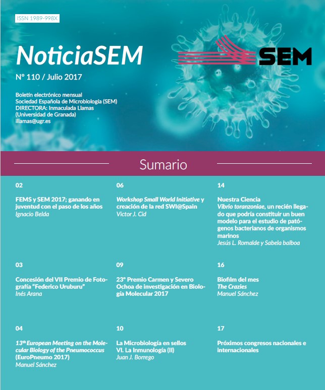 110-NewsSEM-Cover