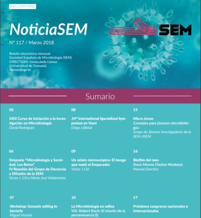 117-NewsSEM-Cover