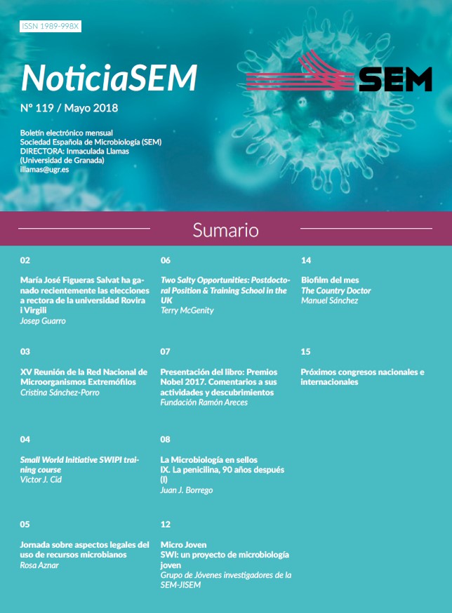 119-NewsSEM-Cover