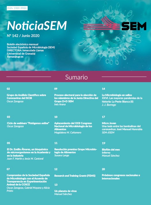 142-NewsSEM-Cover