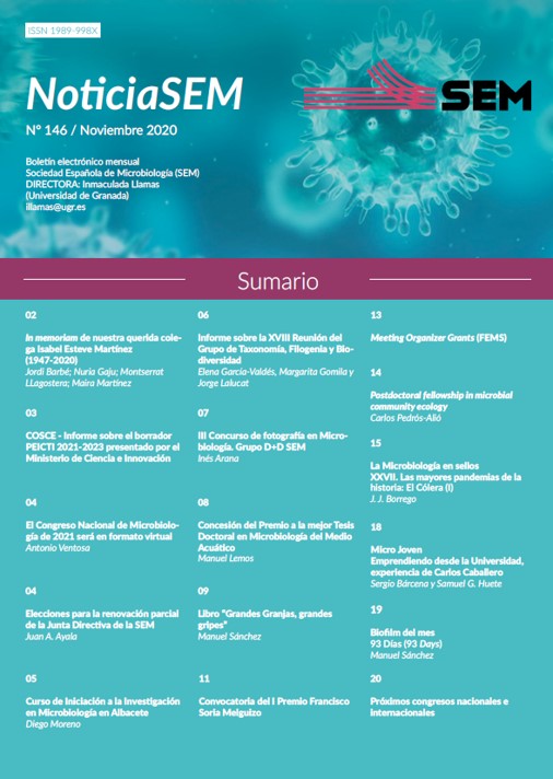 146-NoticiaSEM-Portada