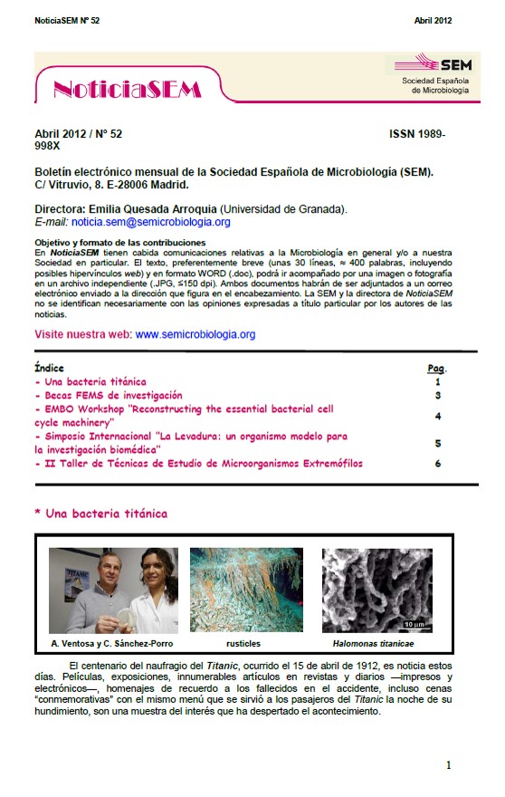 52-NewsSEM-Cover