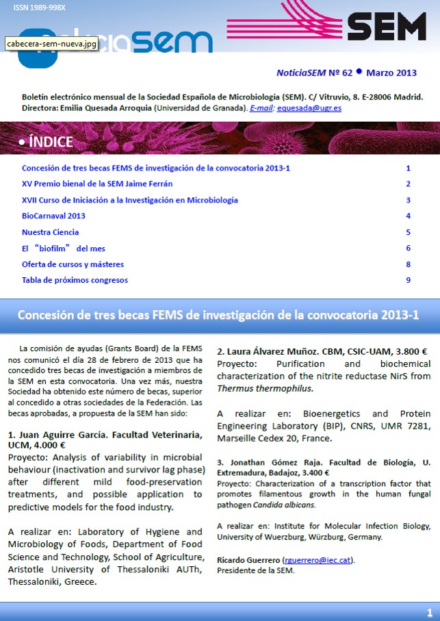 62-NewsSEM-Cover