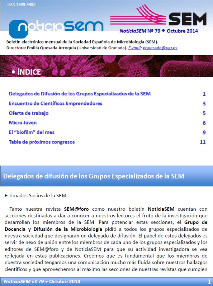 79-NoticiaSEM-Portada