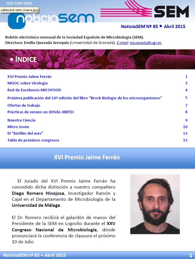 85-NewsSEM-Cover
