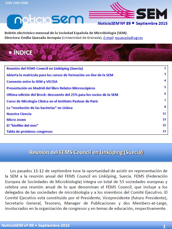 89-NewsSEM-Cover