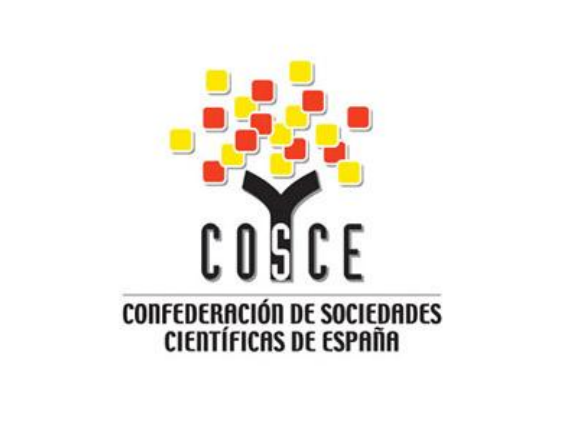 cosce