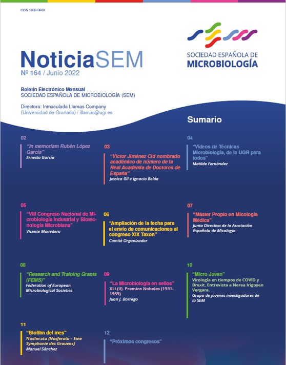 164-NoticiaSEM-portada
