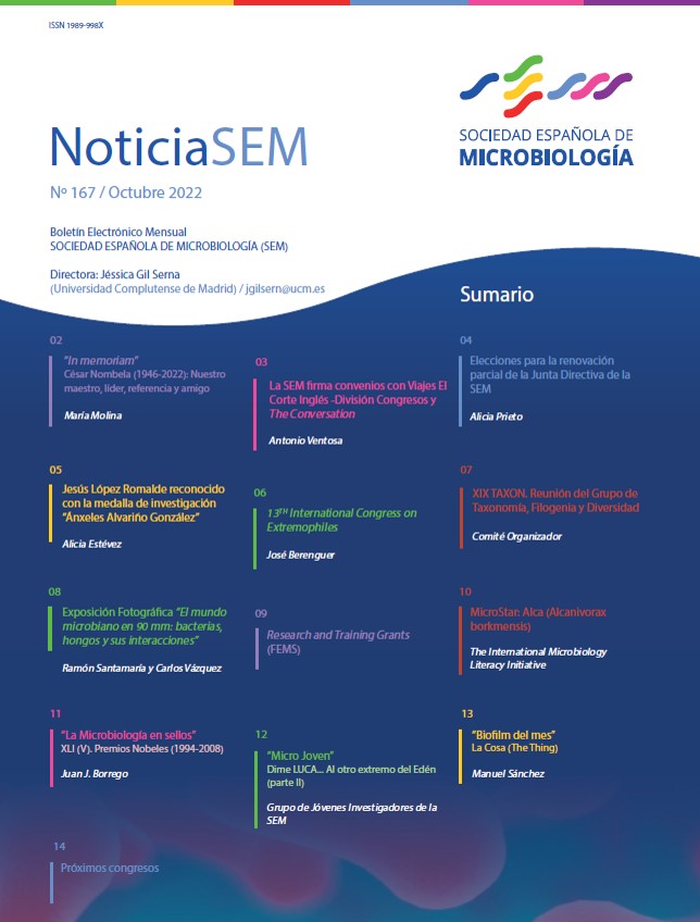 167-NoticiaSEM-Cover