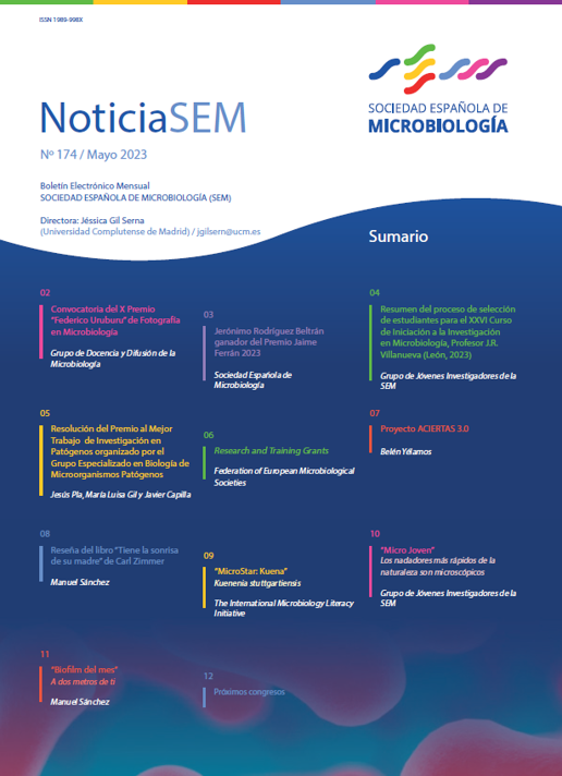 174-NewsSEM-Cover