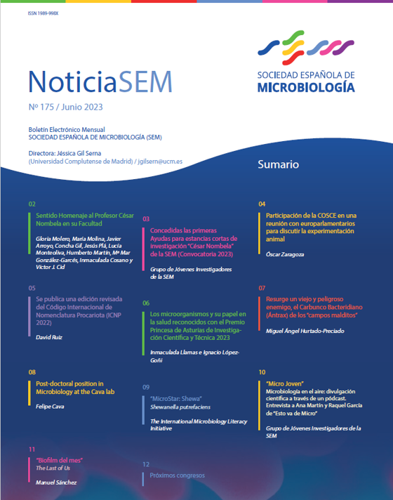 175-NewsSEM-Cover
