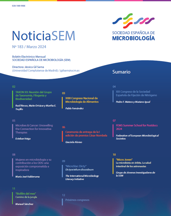 183-NoticiaSEM_Portada