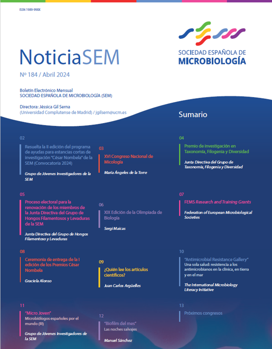 184-NoticiaSEM-Portada