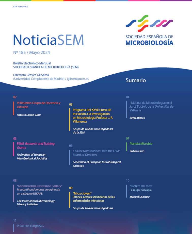 185-NoticiaSEM-Cover