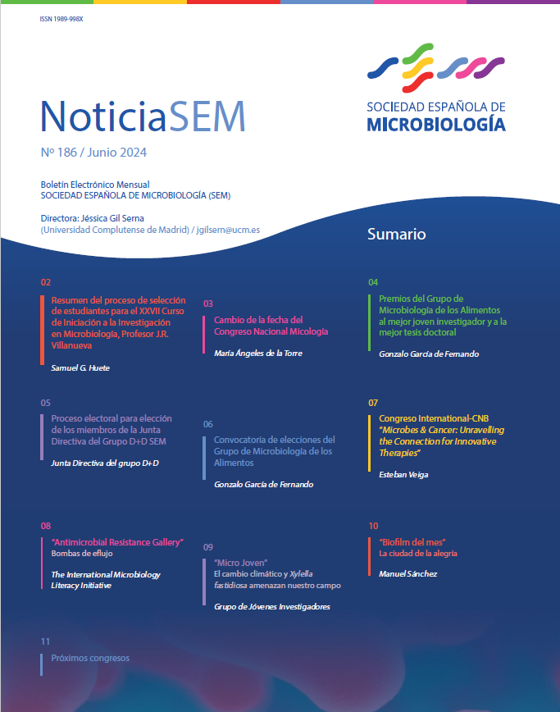 186-NoticiaSEM-Cover page