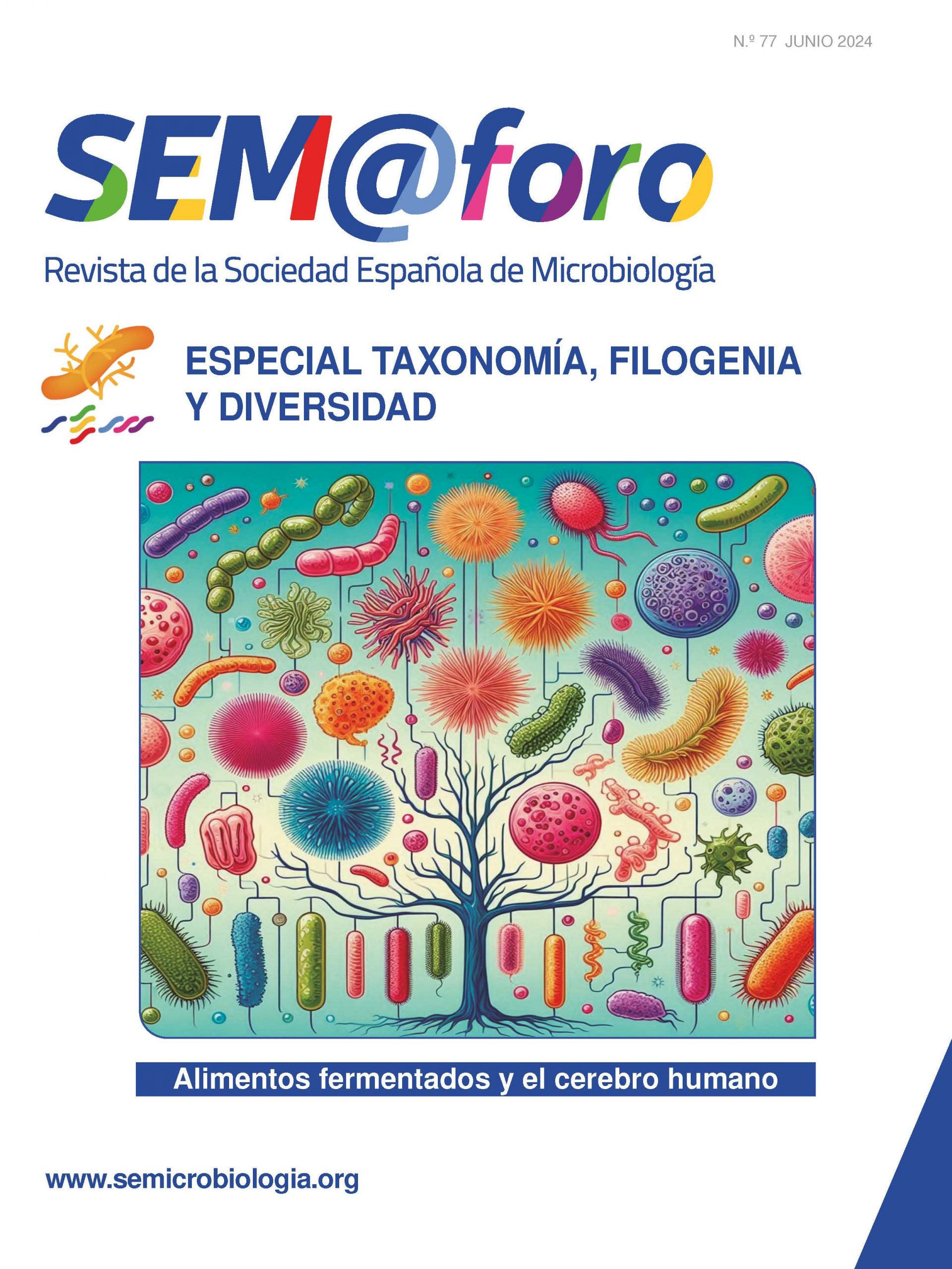 SEM_77_web portada