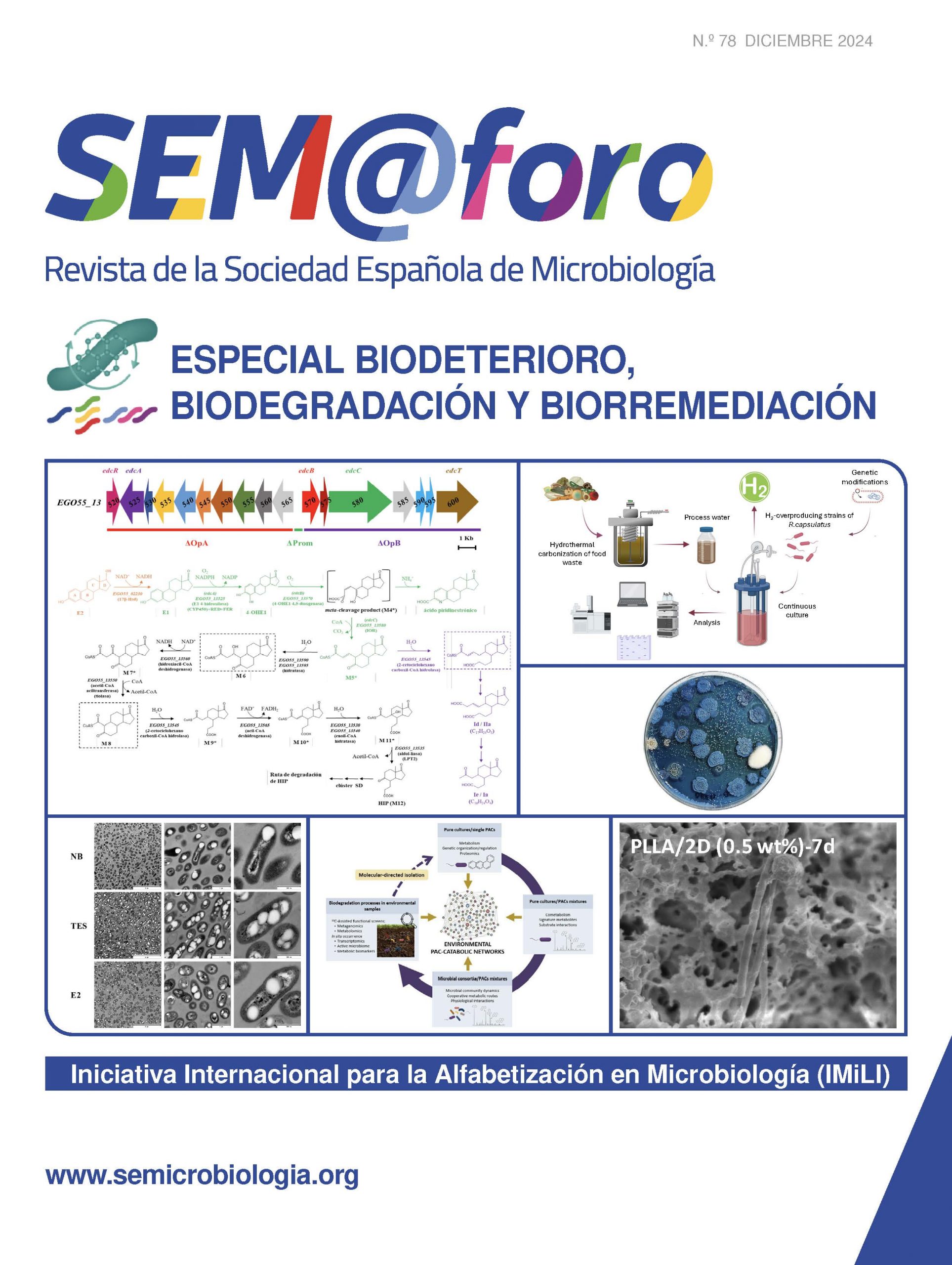 SEM@foro_78_WEB Cover