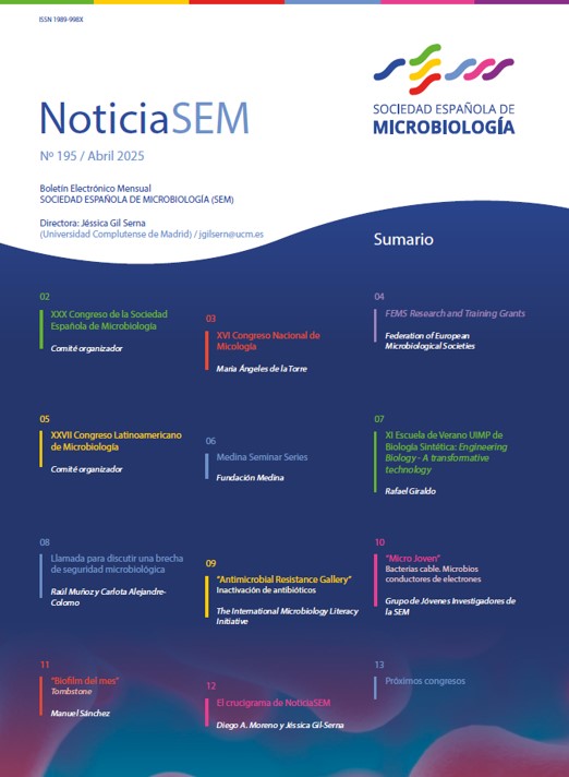 195-NoticiaSEM-Portada