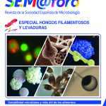 SEM_79_WEB portada