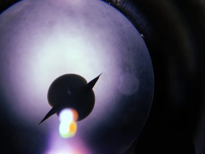 3-Planeta_yeast