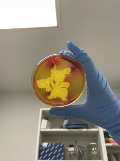 5-Pikachu