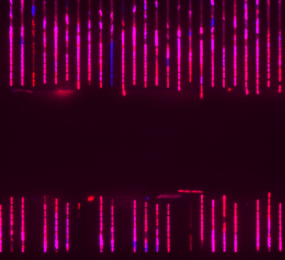 9-Microfluídica caleidoscópica