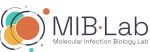 MIBLab