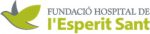hospitalespritosanto